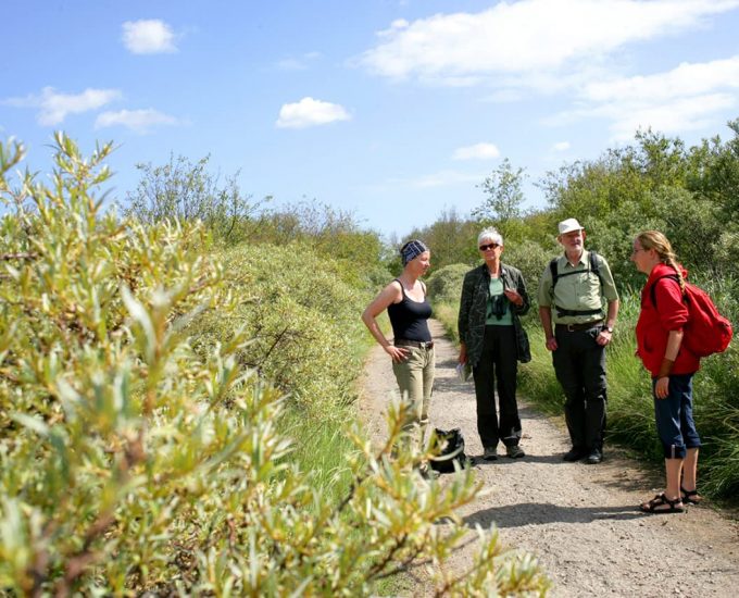 Eine Gruppe ist Wandern in den Dünen