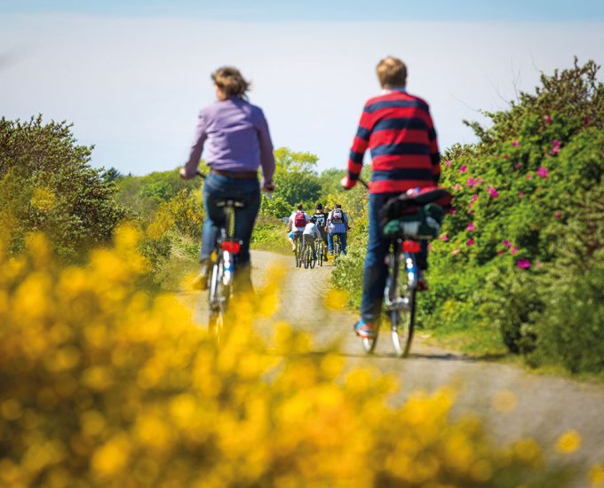 Ein Paar fährt Fahrrad in den Dünen