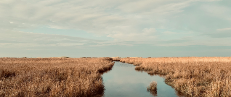 Video: Borkum in der Saison der Sinne