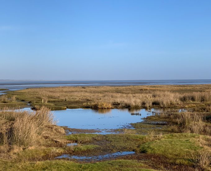 Bild mit Aussicht auf das Wattenmeer